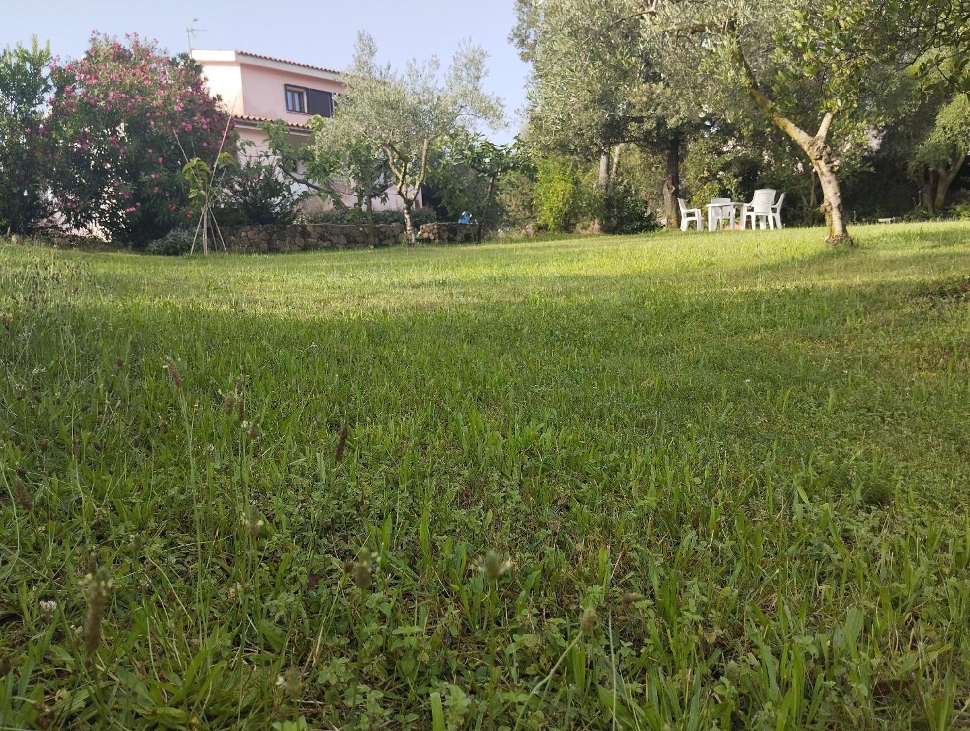 Appartamento In Villa Bruno Olbia Exterior foto